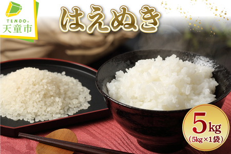 【2026年1月上旬発送】令和7年産 はえぬき 5kg 米 精米 山形 天童 07-01-191-01A