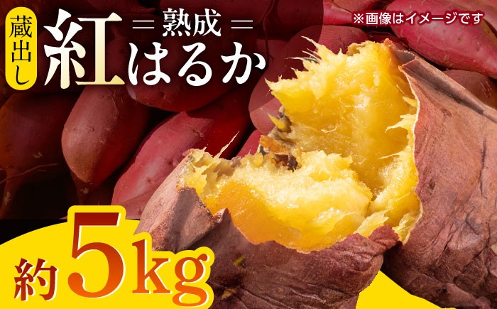 
                   蔵出し 熟成 紅はるか さつまいも 約5kg サイズバラバラ サツマイモ 密 芋 【合同会社 福福堂】 芋 いも 熟成 特産品 熊本県 九州  1万円以下 10000円以下 [ZCN017]
                
