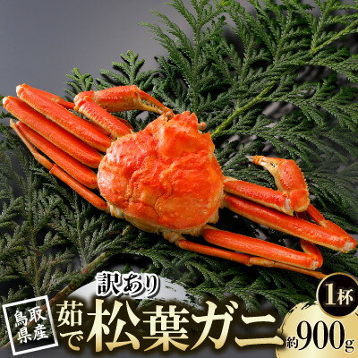 【ふるさと納税】【先行予約】鳥取県産 訳あり 茹 松葉がに 900g×1杯(中村商店)2026年11月発送【配送不可地域：離島・北海道・沖縄県・東北・信越、北陸】【1654046】