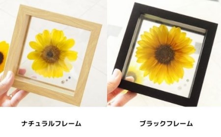 名入れ可 プリザーブドフラワー 向日葵 ひまわり フラワーギフト / なないろ / 山梨県 中央市