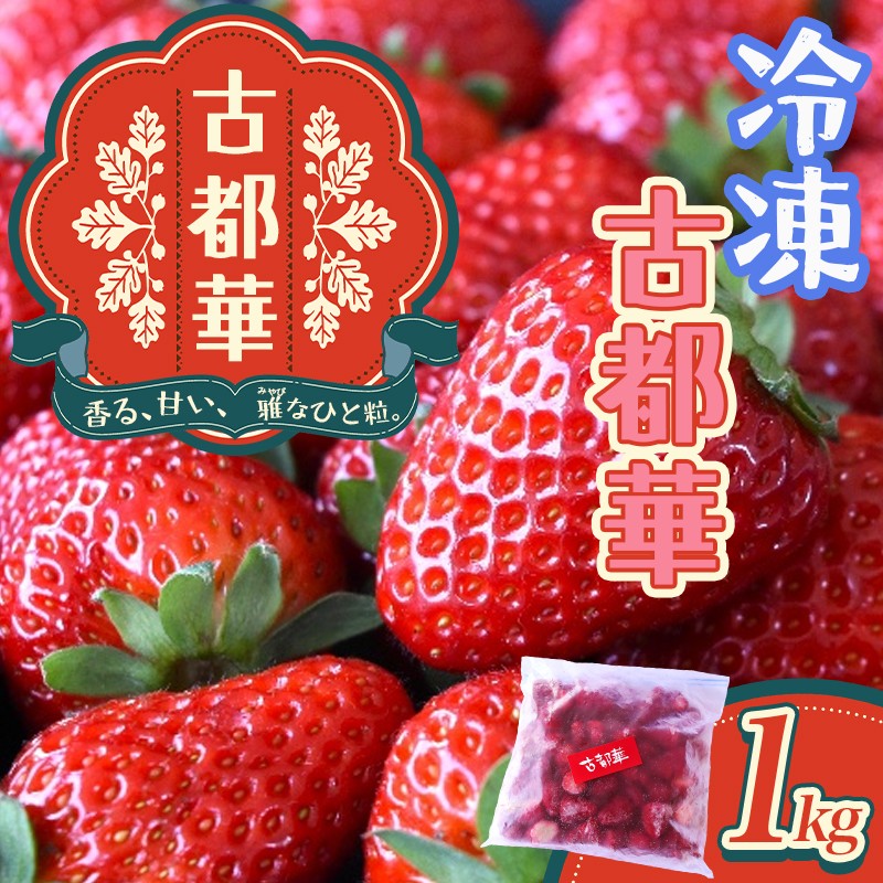 【ふるさと納税】 古都華 冷凍いちご 1kg ／ 西田農園 ブランド いちご 苺 ことか フルーツ 果物 奈良県 葛城市