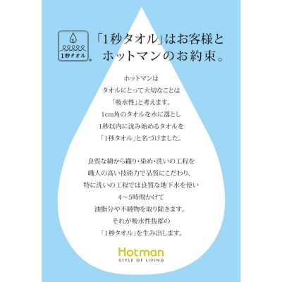 【お歳暮】ホットマン1秒タオル　大判バスタオル2枚ギフトセット【1527769】