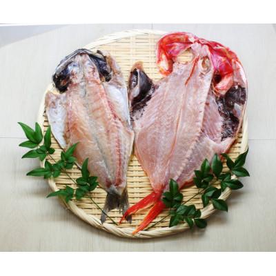 ふるさと納税 下田市 赤と黒　伊豆の厳選一夜干しセット |  | 01