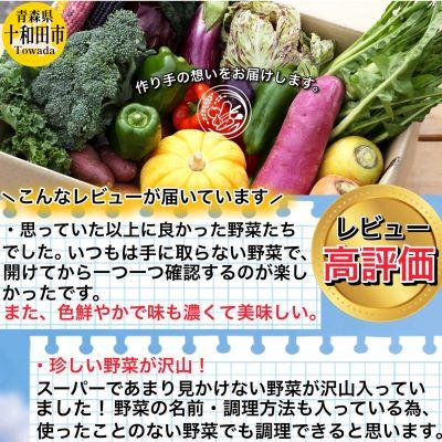 ふるさと納税 十和田市 《レビュー高評価商品》【青森県産】季節に出会える「旬」の野菜セット10〜15品 |  | 03