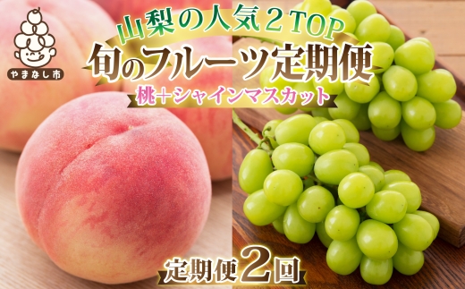 ＜発送月固定定期便＞2026年発送 山梨フルーツ旬の果物 桃+シャインマスカット 全2回_ もも ぶどう ふるさと納税 定期便 フルーツ 果物 セット 山梨 定期 送料無料【4005775】