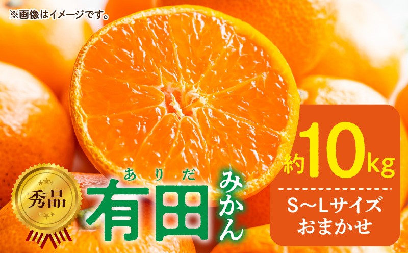 
                  DZ6200_【2026年先行予約】【ふるさと納税】  秀品 有田みかん 和歌山県産 S ～ Lサイズ 大きさ お任せ 容量 約10kg 
                