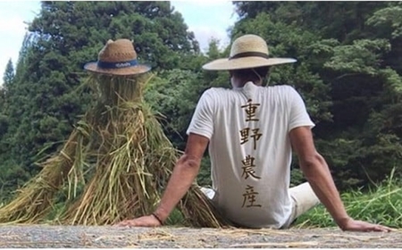 新米先行予約【10ヶ月定期便・11月～発送】新之助 無洗米 5kg×10回 （計 50kg）重ちゃんのお米 令和8年産米 [Y0084]