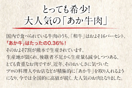 熊本県産和牛 肥後のあか牛すき焼き用500g《90日以内に出荷予定(土日祝除く)》牛 牛肉 すき焼き 牛すき焼き 牛肉料理 熊本県 葦北郡 津奈木町 津奈木食品