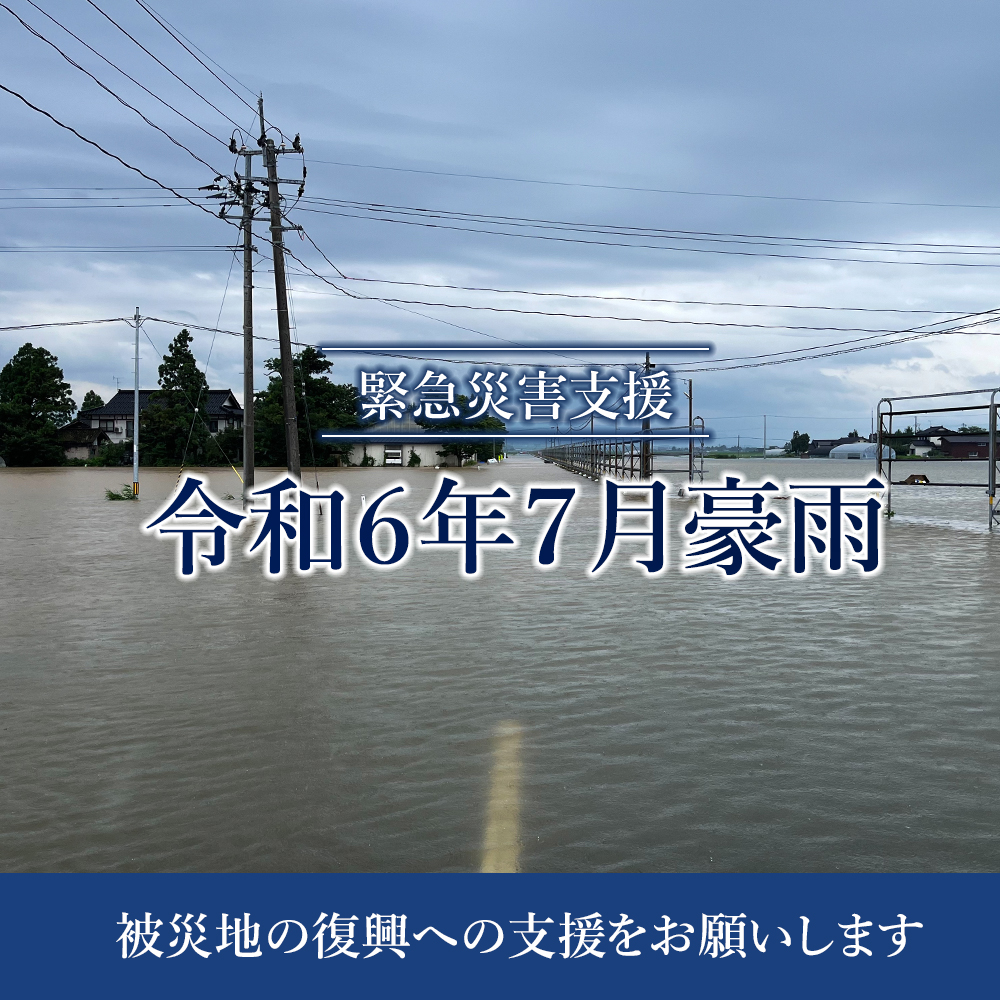 鶴岡市令和6年7月豪雨災害支援【返礼品なし、マイル対象外】