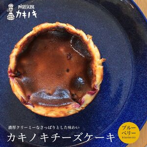 カキノキ チーズケーキ 冷凍 4号 ブルーベリー ケーキ