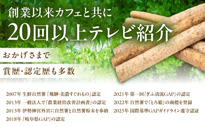 自然薯 冷凍 とろろ 山芋 やまいも お取り寄せ 健康 小分け パック 冷凍 贈答 ギフト おすすめ 人気 岐阜県 恵那市
