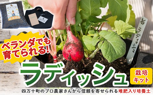 ベランダでも育てられるラディッシュ栽培キット ／Fis-C08 趣味 ガーデニング 家庭菜園 園芸 ベランダ菜園 プランター 種 種子 プロ仕様の肥料 培養土 サラダに