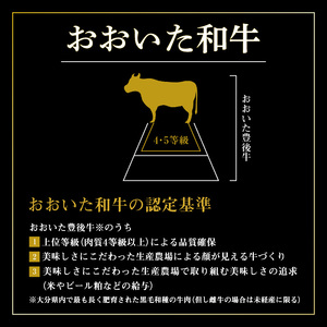 A01129　厳選A4～A5等級 おおいた和牛 ミスジステーキ　8枚 800g