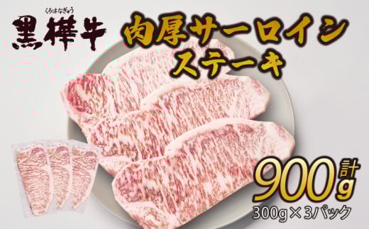 黒毛和牛 肉厚 サーロインステーキ 計約900g （約300g×3枚）