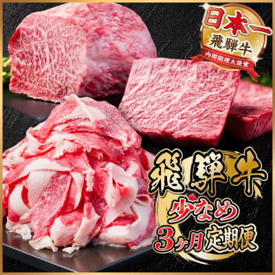 
＜毎月定期便＞飛騨牛 少なめ定期便 計1kg＜冷蔵便＞全3回【4055497】
