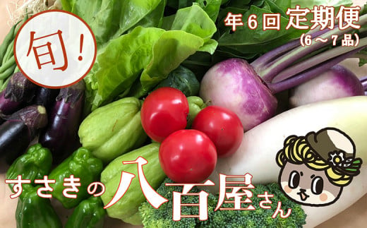 定期便 6回 旬 野菜 詰め合わせ セット 6 〜 7品 数量限定 やさい 頒布会 ほうれん草 ブロッコリー ニンジン 人参 じゃがいも 白菜 キャベツ 小松菜 ピーマン ししとう タマネギ オクラ なす ネギ さつまいも 里芋 にんにく きゅうり しょうが 生姜 NK4000