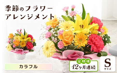 定期便 ≪12ヶ月連続お届け≫ 季節のフラワーアレンジメント S (カラフル) 花束 生花 プレゼント [J-20703_03]