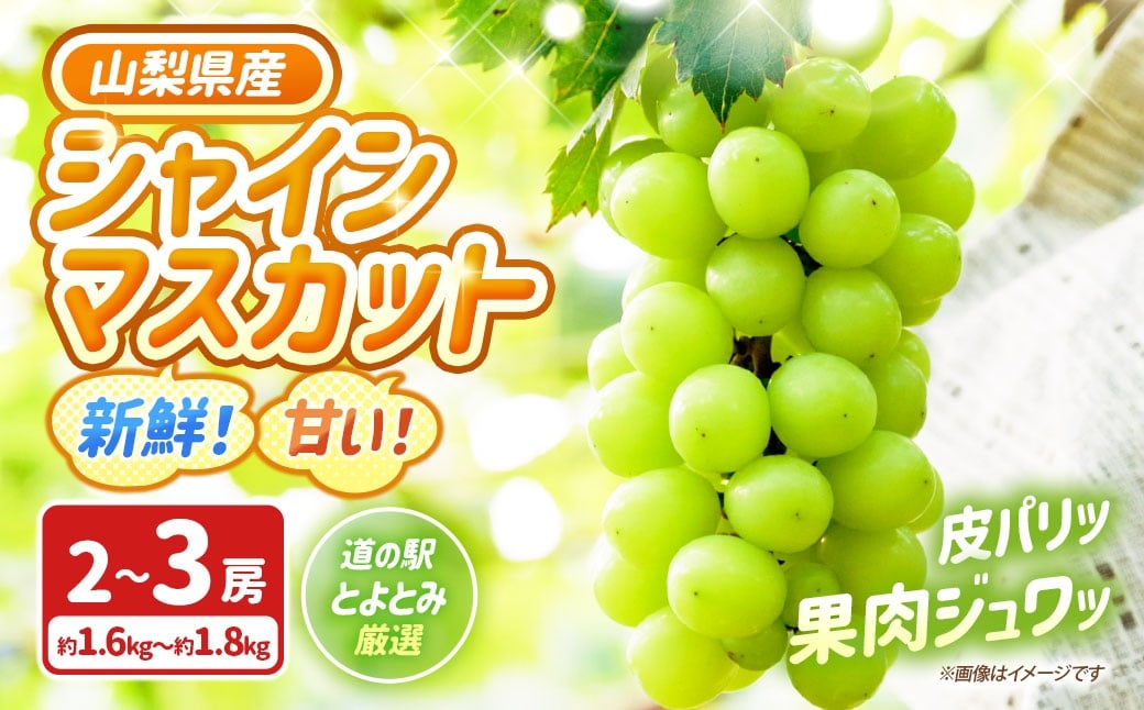 
                  新鮮！甘い！山梨県産シャインマスカット2房～3房（約1.6kg～1.8kg） 「道の駅とよとみ」より厳選したものを出荷！ シャインマスカット フルーツ 果物 山梨県 中央市 【 2026年8月下旬-9月下旬発送予定 】
                