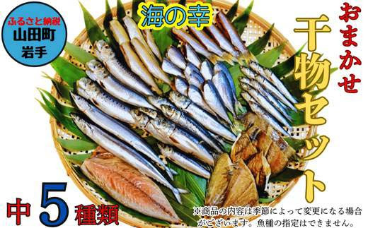 おまかせ干物セット（中）【大和水産】三陸山田 山田町 魚 魚介 干物 おかず 夕飯 詰合せ カワハギ アジ メアジ チダイ サバ イワシ サンマ タラ カレイ ムツ YD-832