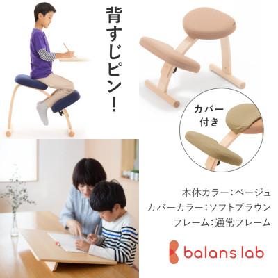 ふるさと納税 美濃市 バランスイージー 通常[ベージュ]カバー付+イージーライティングボードL【複数個口で配送】