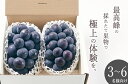 【ふるさと納税】 ぶどう 巨峰 約1kg 大粒 種無し 2房 フルーツ 果物 葡萄 黒ぶどう 産地直送 2025年発送 数量限定 期間限定 自然農法 山梨 甲州市産 贈答 ギフト 家庭用 8月 9月 発送 （BNC） 【C5-451】