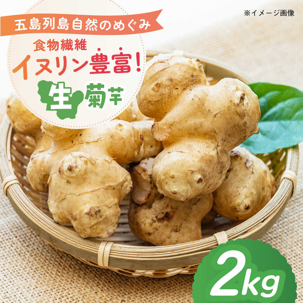【ふるさと納税】【2026年11月先行予約】生キクイモ（菊芋）2kg 五島市/五島列島自然のめぐみ[PGM005]