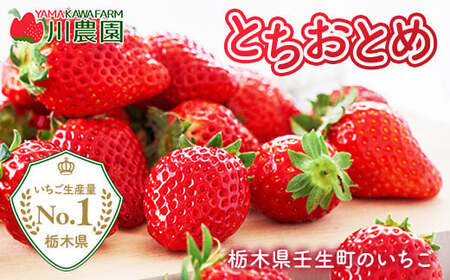 とちおとめ 320g×2パック 3Lサイズ ｜ いちご 苺 イチゴ 贈答 フルーツ 果物 国産 平積み　※2026年1月中旬頃より順次発送予定