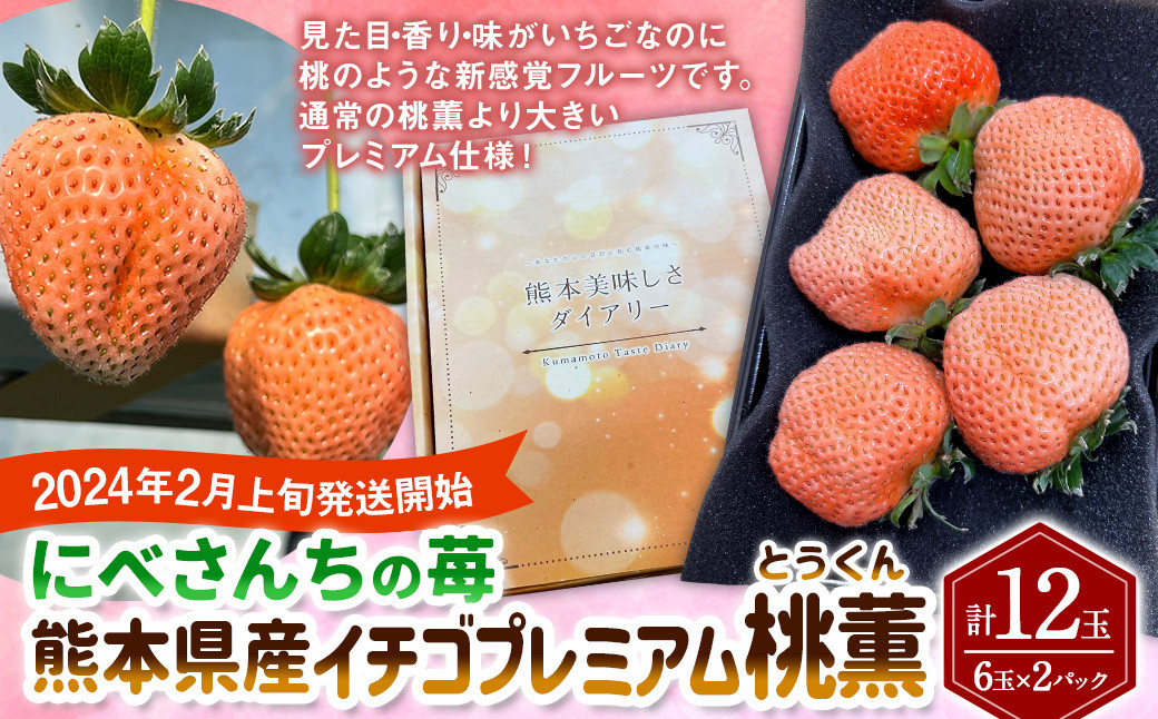 
にべさんちの苺 熊本県産イチゴプレミアム桃薫(とうくん) 【2025年2月上旬発送開始】
