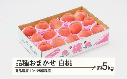 【先行予約】もも 桃 品種おまかせ 白桃 秀品程度 約5kg(10~25個程度)  2026年産 山形県産 ※沖縄・離島への配送不可 tf-moyws5