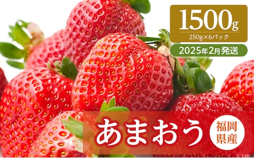 
										
										いちご 福岡県産 あまおう 1500g (250g×6パック) 先行予約 2025年2月より順次発送 果物 デザート ※配送不可：離島
									