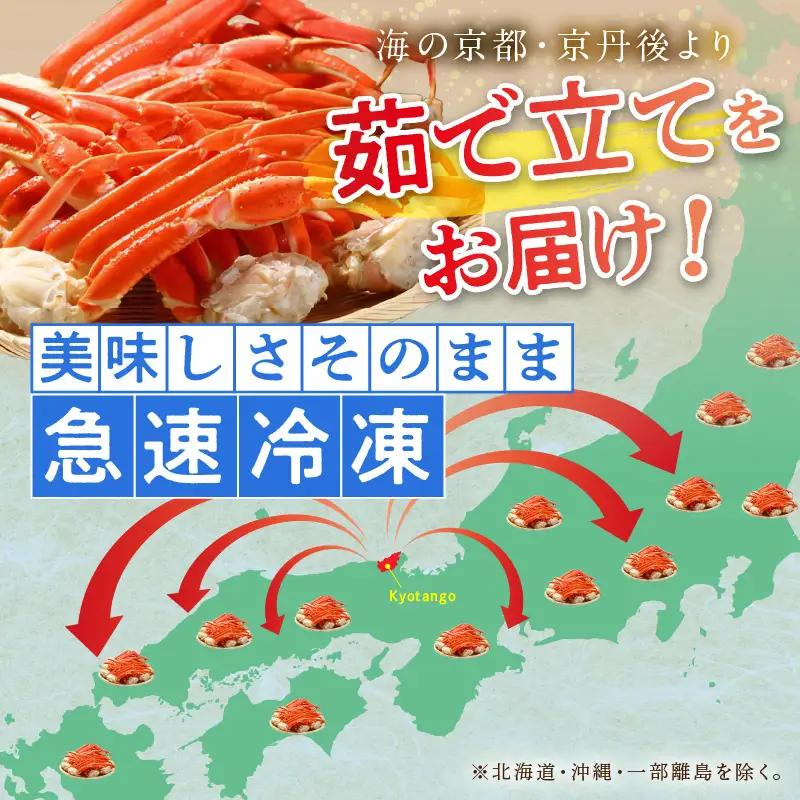 【訳あり！】本ズワイガニ 茹でカニ 2Lサイズ6肩足ボイルカニ 京丹後市