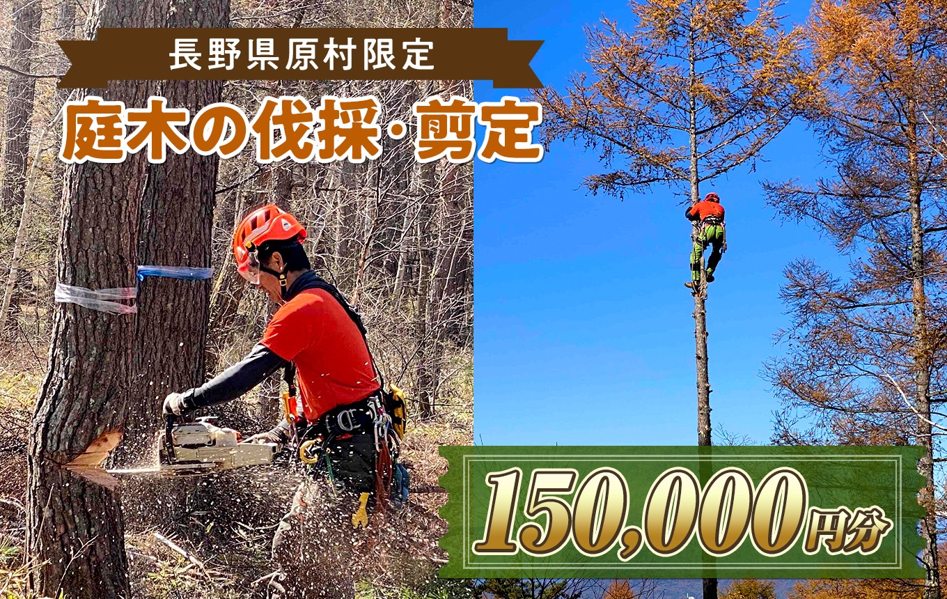 
                  【原村限定】庭木の伐採・剪定サービス 150,000円分 | 庭木 お手入れ 庭 ガーデニング 剪定 伐採 別荘 自宅 空き家 サービス プレゼント 長野県 諏訪郡 原村
                