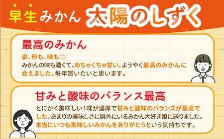 【幻のみかん】みかん食べくらべ定期（太陽のしずく・今村温州みかん）【夢の甘熟みかん タッチ】[HCE003]フルーツ 佐賀みかん 温州みかん 食べ比べ 蜜柑 ミカン