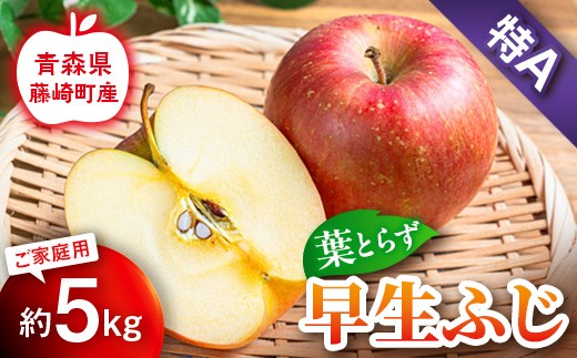 【先行予約】葉とらず早生ふじ 特A 家庭用 約5kg【グランドアップル】 青森りんご リンゴ 林檎 アップル 果物 くだもの フルーツ F41-0035