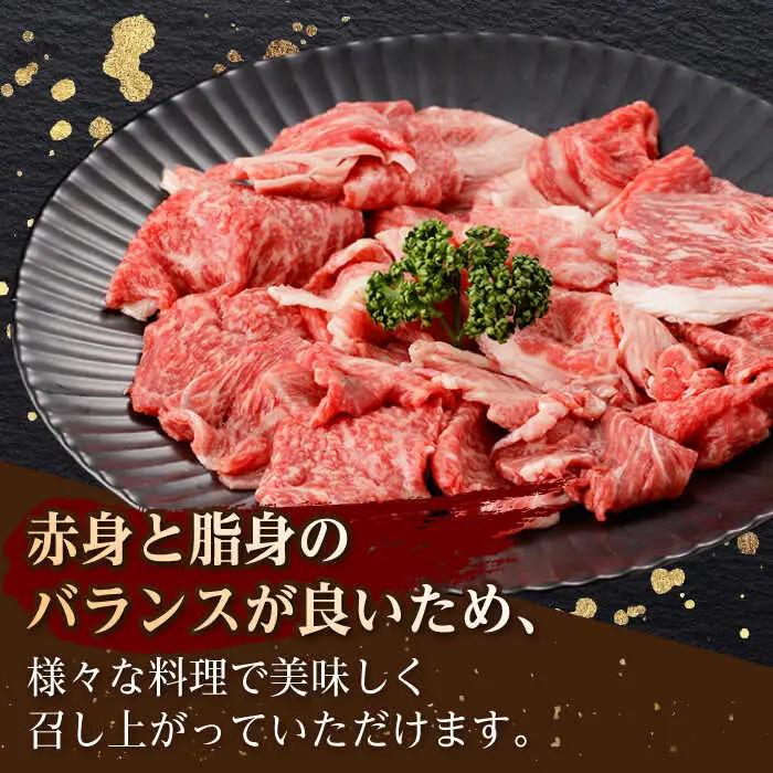 【定期便】牛肉切り落とし 計500g NAC163 牛肉切り落とし 全6回