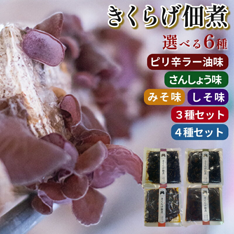 【ふるさと納税】きくらげ佃煮 みそ味 しそ味 さんしょう味 ピリ辛ラー油味 1種3袋セット 3種セット 4種セット 選べる セット内容 ふるさと納税 惣菜 きのこ きくらげ 木耳 佃煮 3種 セット みそ しそ 爽やか 香り さんしょう 山椒食感 弾力 ごはんのお供 おつまみ
