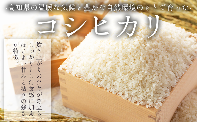 【香南市】コシヒカリ ５kg 無洗米 真空パック 特別栽培米