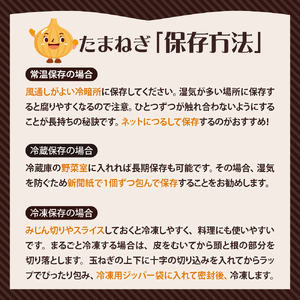 【先行受付】【2025年10月より配送予定】北海道 十勝 芽室産 たまねぎ 10kg 1箱 玉ねぎ 玉葱 タマネギ オニオン 野菜 ベジタブル 産地直送 新鮮 送料無料 お取り寄せ 10キロ 大容量 