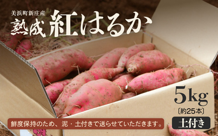 【先行予約】大谷原の熟成さつまいも (5kg 土付き) 約25本【2025年10月下旬以降順次発送予定】【入手困難・数量限定】【サツマイモ 芋 イモ 紅はるか べにはるか 熟成 甘い おいしい 国産 