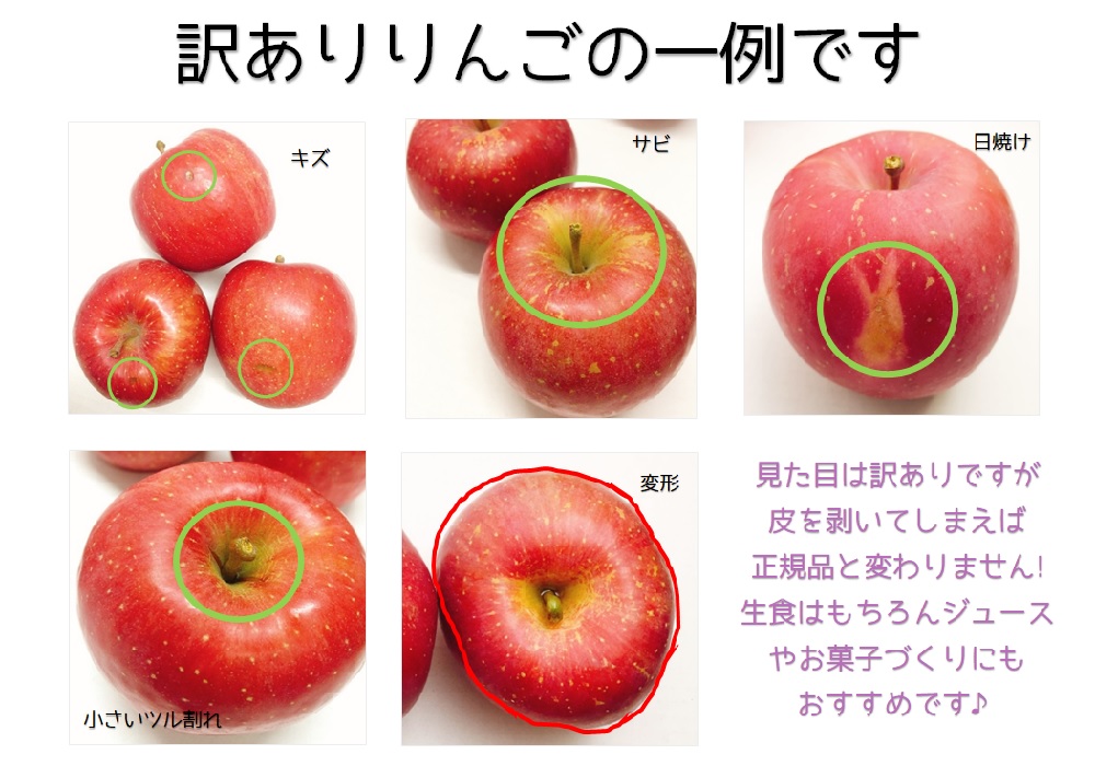 【2025年1月下旬発送】訳ありりんご約3kg（7～12個程度）|おまかせ品種|青森県五所川原市