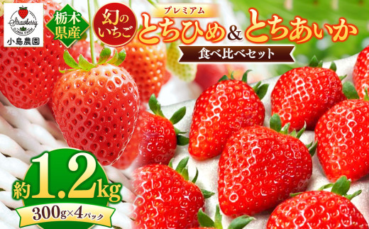 【2027年先行予約】とちひめ とちあいか 食べ比べ プレミアム 幻のいちご｜1200g 希少 柔らかい 果肉 大粒 ジューシー 果汁 いちご 苺 特産品 ストロベリー いちご いちご  スイーツ お取り寄せ ご褒美 贈答用 プレゼント ご褒美 栃木県 真岡市