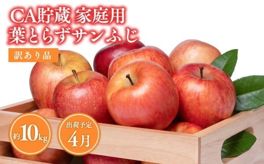 
                  4月CA貯蔵 家庭用 葉とらずサンふじ 約10kg 訳あり 家庭用【青森県 平川市 森山商店 】
                