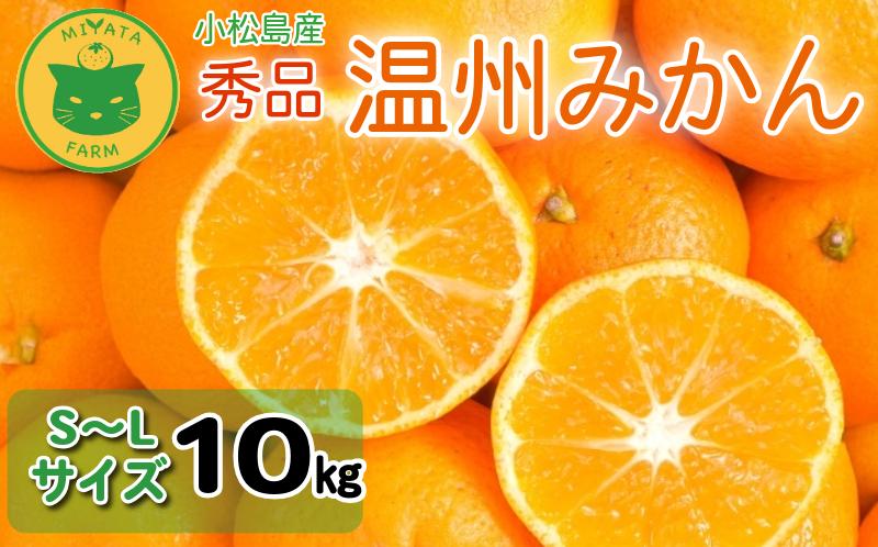 【2026年12月順次発送】 みかん 秀品 温州みかん 10kg ミカン 蜜柑 甘い フルーツ 柑橘 ジュース 小松島市 オススメ 人気 ふるさと納税