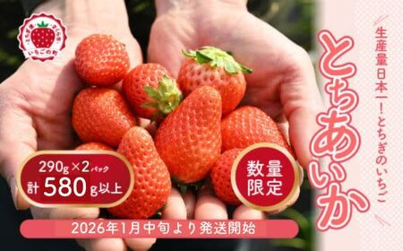 いちご とちあいか（290g×2パック） ※2026年1月中旬～3月下旬頃に順次発送予定