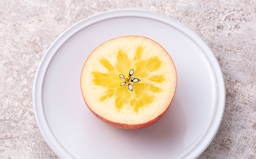 ≪先行予約≫贈答用 2026年 山形県産 高徳りんご 1.5kg（7～10玉） 2026年10月下旬から順次発送予定 小玉 果物 くだもの フルーツ 秋果実 リンゴ 蜜 甘い 数量限定 産地直送 F4