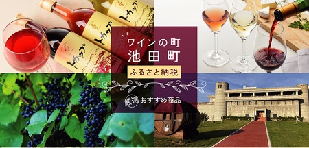 十勝ワイン トカップ12本セット（赤・白・ロゼ）瓶熟成 樽熟成 北海道ワイン 池田町