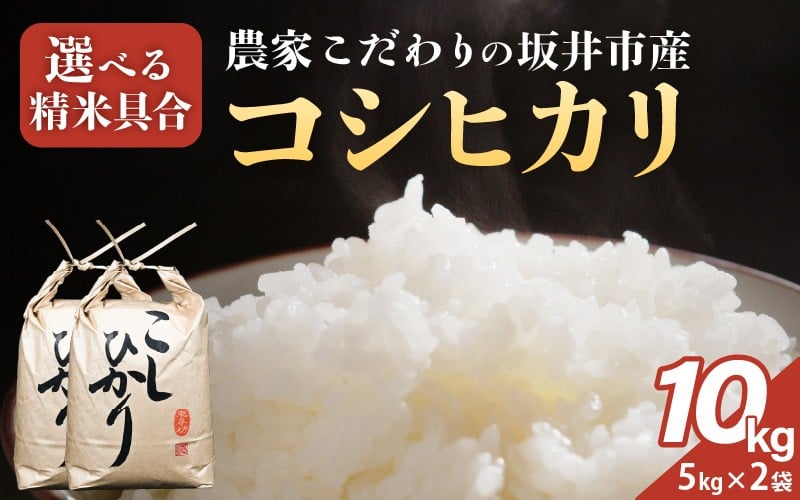 
            【令和7年産】農家こだわりの坂井市産 コシヒカリ 10kg (5kg×2袋) 【選べる精米具合：白米 / 玄米】 【米 コメ お米 5キロ こしひかり ふるさと納税米 ブランド米 国産】 [C-10203]
          
