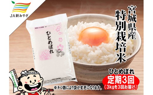 【定期便】元気くん市場ひとめぼれ　3kg×3回【3ヶ月連続でお届け】  /  精米 小分け 人気 ランキング 定期便 お米 米 精米【mygs-tkb002】