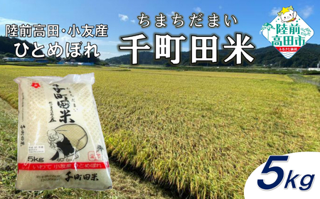 ひとめぼれ 5kg【先行予約 令和7年産 ひとめぼれ 新米 】