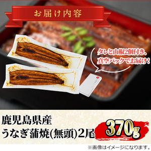 【ふるなびWEEK対象】＜特大＞うなぎ蒲焼き(無頭)(2尾・計約370g・タレ、山椒付)うなぎ 高級 ウナギ 鰻 国産 蒲焼 蒲焼き たれ 鹿児島 ふるさと 人気【アクアおおすみ】【0134354a】